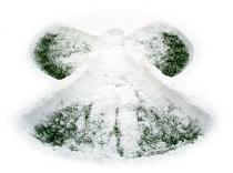 snow-angel