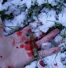 Death in snow